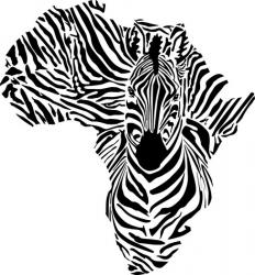 Afrique Zebre 4001