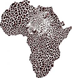 Afrique Leopard 4002