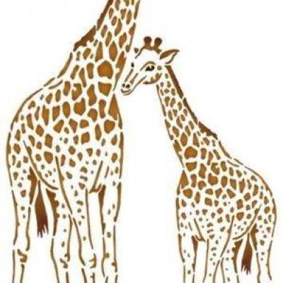 La girafe et son girafon