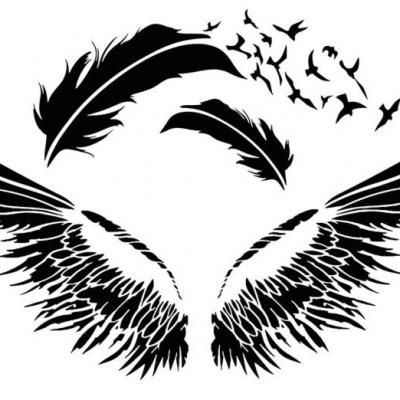 An14624 plumes oiseaux pochoir