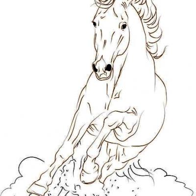 Cheval au galop design