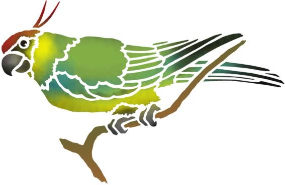 An48686 perruche 2 pochoir a peindre perroquet oiseau exotique