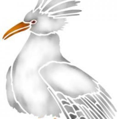 An57845 cagou oiseau polynesienp