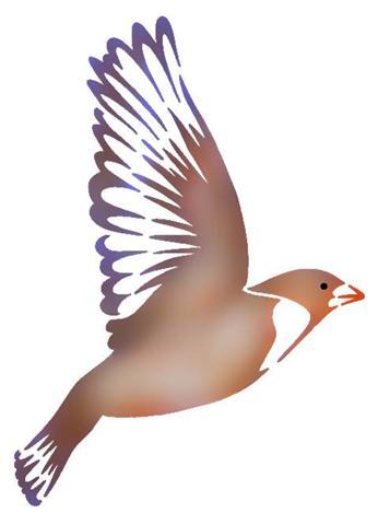 An57969 oiseau en vol 3pochoir a peindre