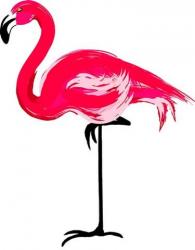 Flamant rose 4