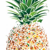 Ananas design pochoir mon artisane c3314