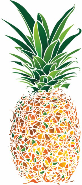 Ananas design pochoir mon artisane c3314
