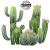 Cactus 2 pochoir monartisane