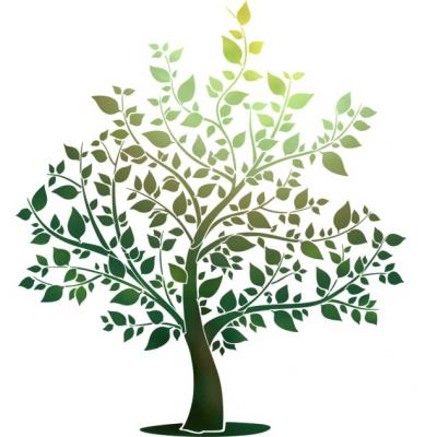 F5487 arbre feuillu en ete pochoir mural a peindre