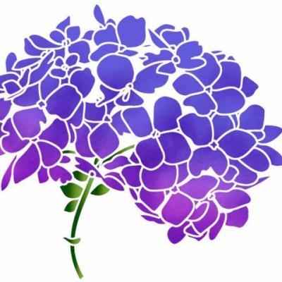 Fle654 fleur tete hortensia pochoir p