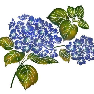 Fle781 fleurs hydrangea hortensias pochoir mon artisane p