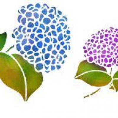 Fr132 frise hortensias pochoir hydrangea stencil