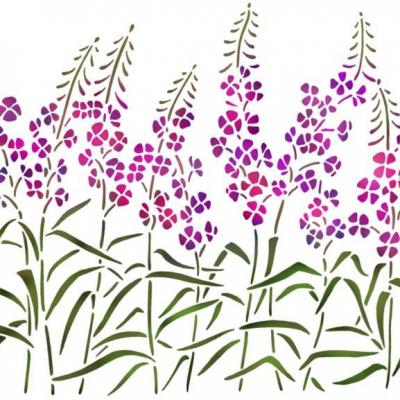 Fr288031 frise lisiere