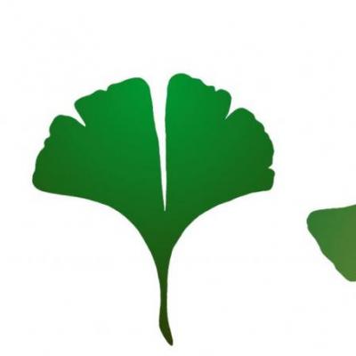 Fr783426 feuilles arrondies frise