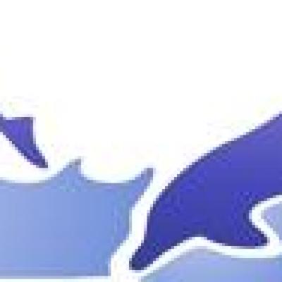 Fri052468 frise de dauphins p