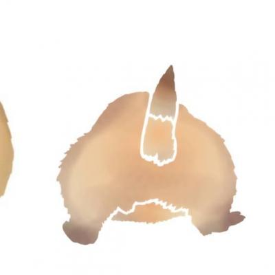 Fri546134 frise chien prairie