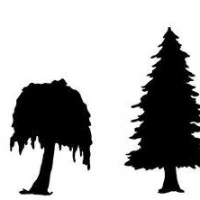 Fri548478 frise arbres2