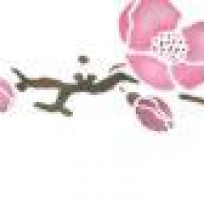 Fri706805 frise fleur de pommier pochoir style pochoir mon artisane