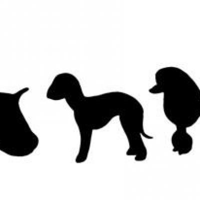 Fri754124 frise chiens 