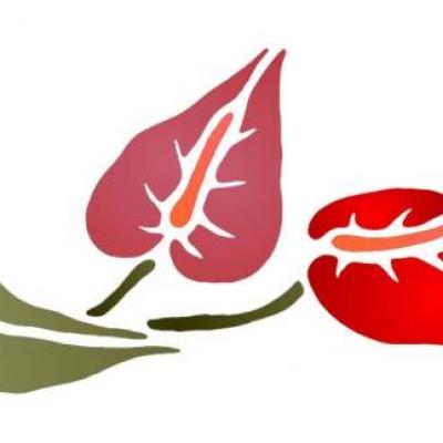 Fri785456 frise anthuriums