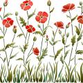 Frise coquelicots lisiere champetre pochoir