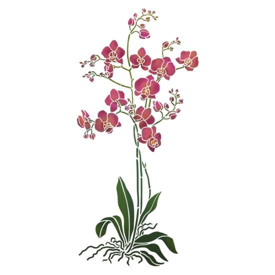 Grande orchidee pochoir mon artisane style pochoir