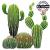 Gt1 grand cactus 1 couleur mon artisane