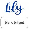 Lily artemio blanc brillant