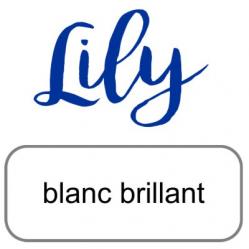 Lily artemio blanc brillant