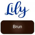 Lily artemio brun copie