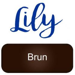 Lily artemio brun copie
