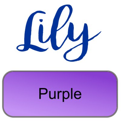 Lily artemio purple