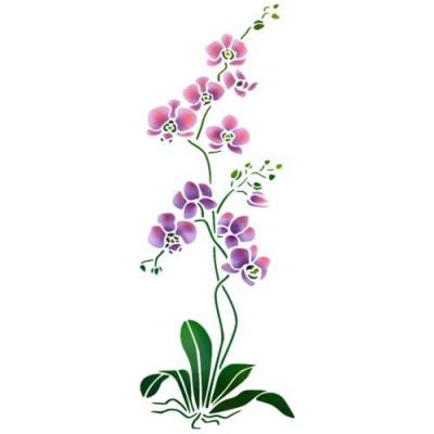 Orchidee pochoir orchids stencil mon artisane ref orch25
