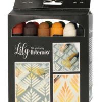 Pack 12 peintures lily pastels neutres paintstick huile