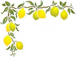 Angle de citrons