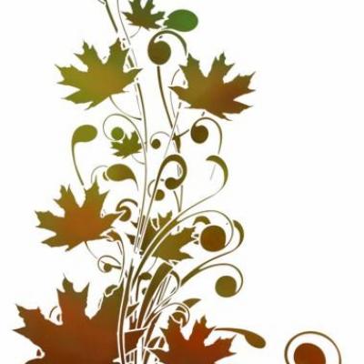 Pochoir branche de feuilles arbre erable a peindre mon artisane fl14001