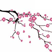 Pochoir branche fleurs de cerisiers fleurs de pommier printemps