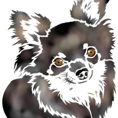Pochoir chien chiwawa sticker chiwawa
