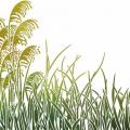 Pochoir herbes pampa stipo1945 herbes sauvages mon artisane