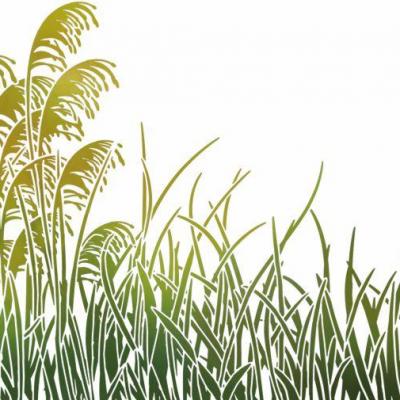 Pochoir herbes pampa stipo1945 herbes sauvages mon artisane
