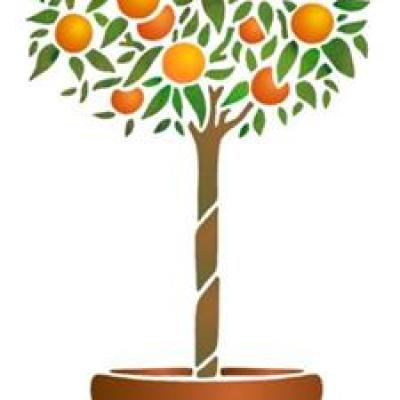 Pochoir oranger en pot