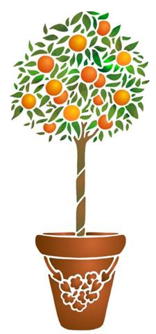 Pochoir oranger en pot