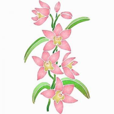 Pochoir orchidee sur tige f013 mon artisane