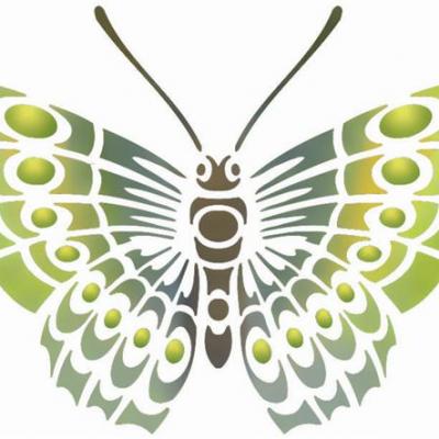 Pochoir papillon stipo88