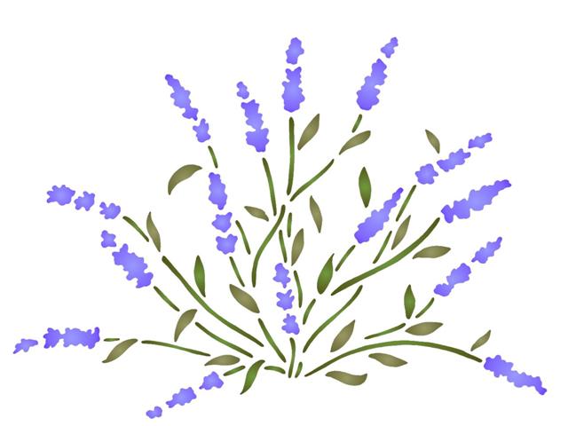 Pochoir plante lavande spf089