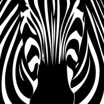 Pochoir tete de zebre de face