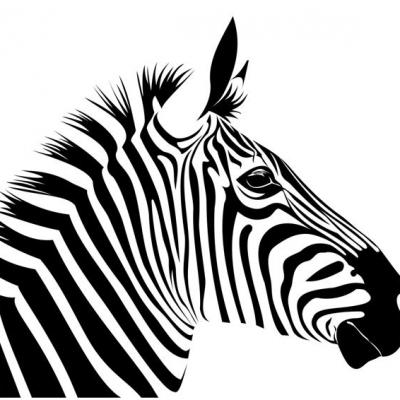 Pochoir tete de zebre