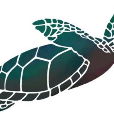 Pochoir tortue marine a peindre mon artisane